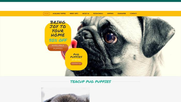 Celebritypugpuppies.com - Pug Puppy Scam Review