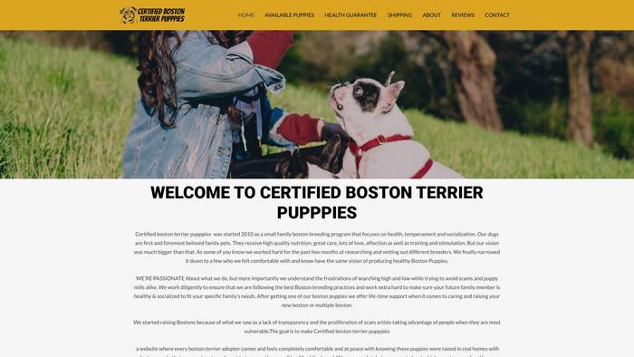 Certifiedbostonterrierpupppies.com - Terrier Puppy Scam Review