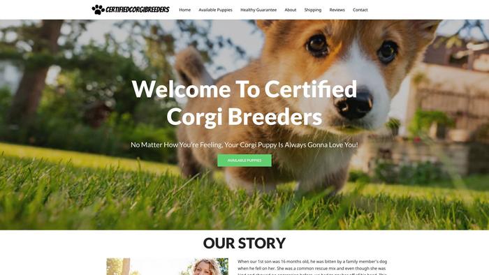 Certifiedcorgibreeders.com - Corgi Puppy Scam Review