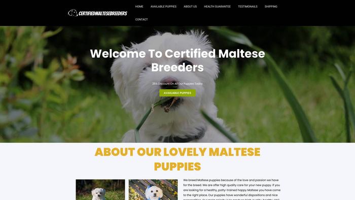 Certifiedmaltesebreeders.com - Maltese Puppy Scam Review