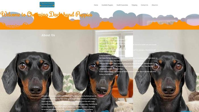 Charmingdachshundpuppies.com - Dachshund Puppy Scam Review