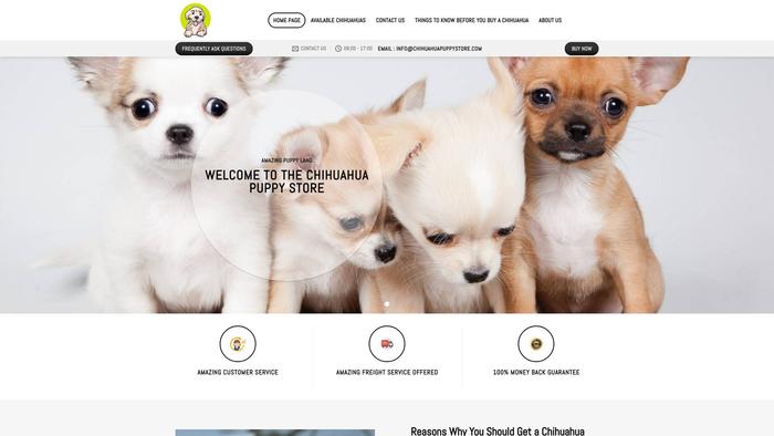 Chihuahuapuppystore.com - Chihuahua Puppy Scam Review