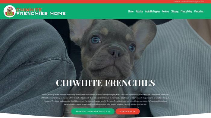 Chiwhitefrenchies.com - French Bulldog Puppy Scam Review