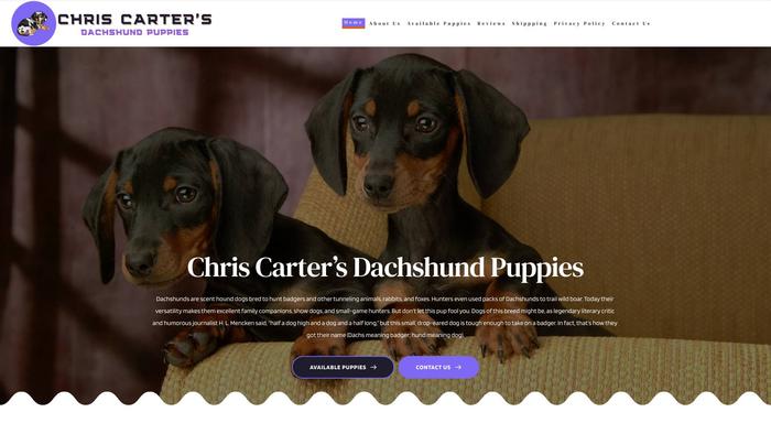 Chriscartersdachshundpuppies.com - Dachshund Puppy Scam Review