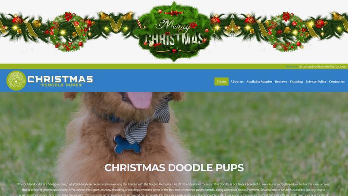 Christmasdoodlepups.com - Labrador Puppy Scam Review