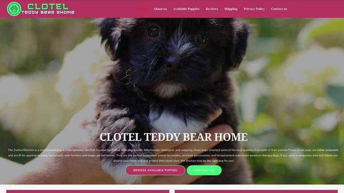 Clotelteddybearshome.com - Shichon Puppy Scam Review