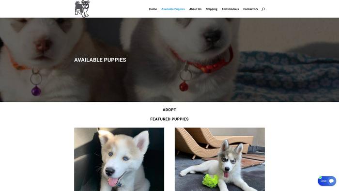 Cuteandjoyoushuskypups.com - Husky Puppy Scam Review