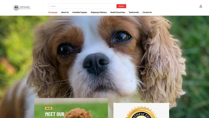 Cutecavapoopupsforhomes.com - Cavapoo Puppy Scam Review