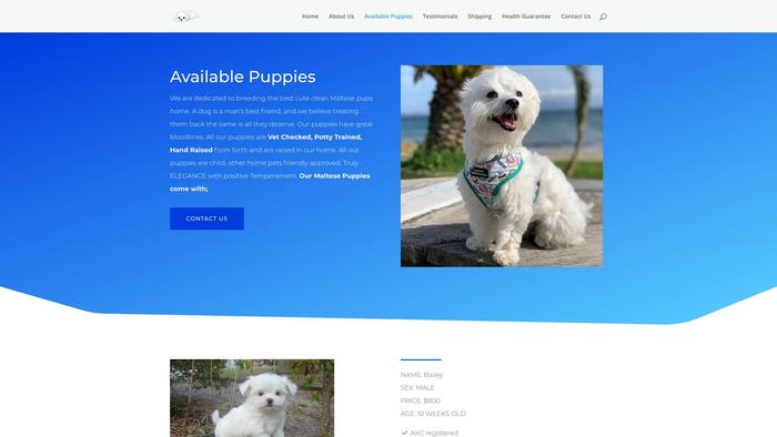 Cutecleanmaltesepupshome.com - Maltese Puppy Scam Review