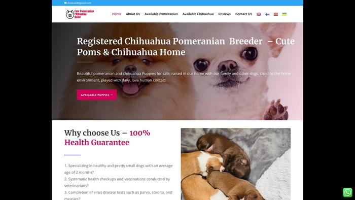 Cutepomsandchihuahuas.com - Chihuahua Puppy Scam Review