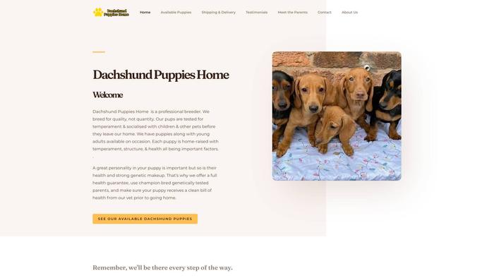 Dachshundpupieshome.com - Dachshund Puppy Scam Review