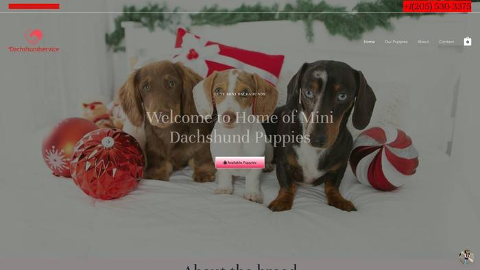 Dachshundservice.com - Dachshund Puppy Scam Review