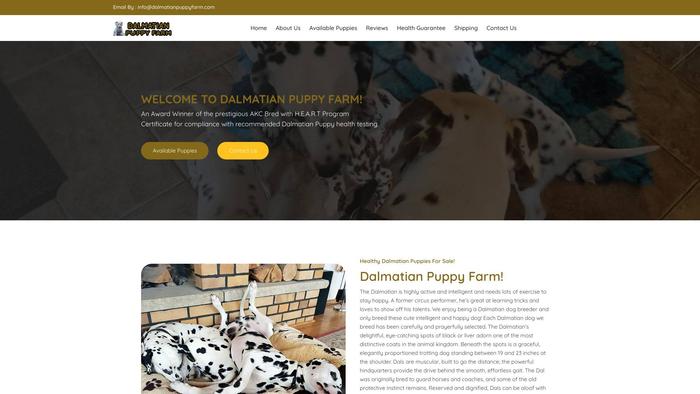 Dalmatianpuppyfarm.com - Labrador Puppy Scam Review