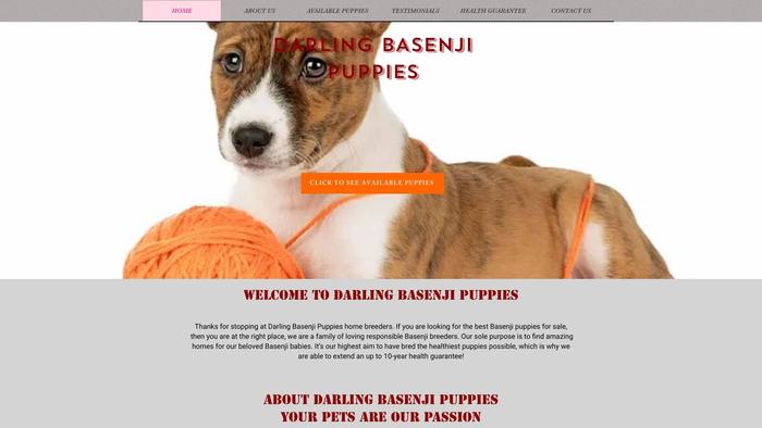 Darlingbasenjipuppiess.com - Basenji Puppy Scam Review