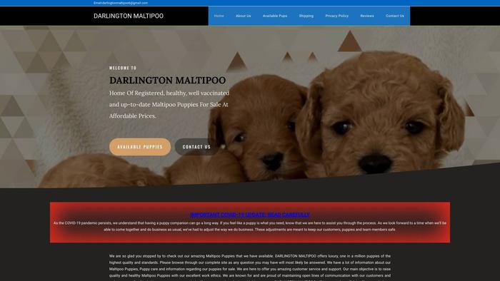 Darlingtonmaltipoo.com - Maltipoo Puppy Scam Review