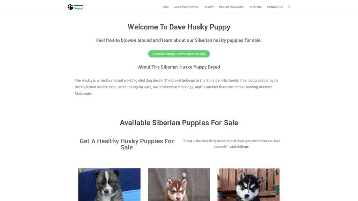 Davehuskypuppy.com - Husky Puppy Scam Review