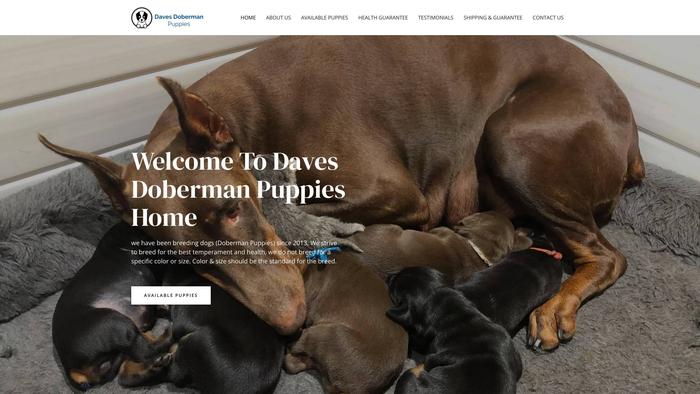 Davesdobermanpups.com - Doberman Pinscher Puppy Scam Review