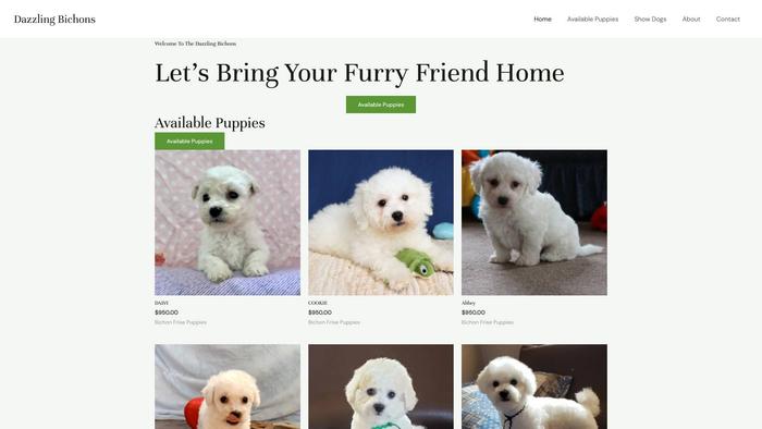 Dazzlingbichons.com - Bichon Frise Puppy Scam Review