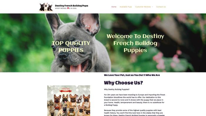 Destinyfrenchbulldog.com - French Bulldog Puppy Scam Review