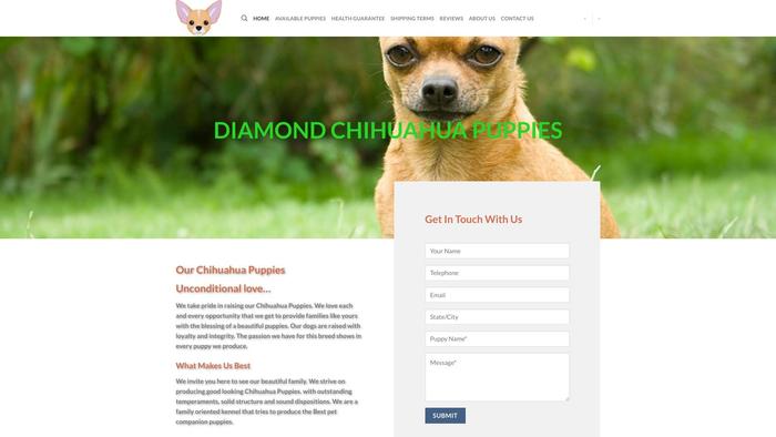 Diamondchihuahua.com - Chihuahua Puppy Scam Review