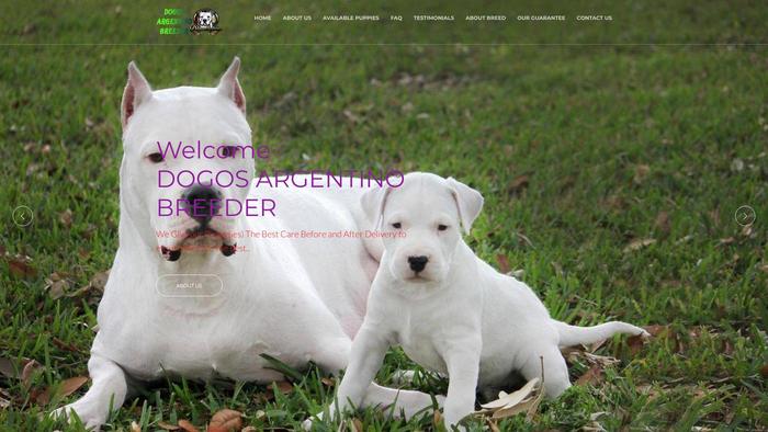 Dogoargentino.online - Pit Bull Puppy Scam Review