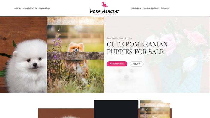 Dorahealthysmartpuppies.com - Pomeranian Puppy Scam Review