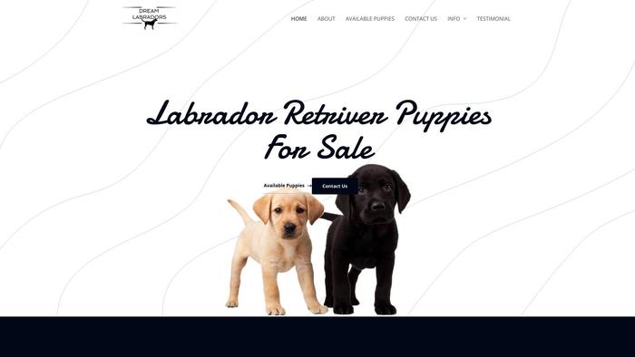 Dreamlabradors.com - Labrador Puppy Scam Review