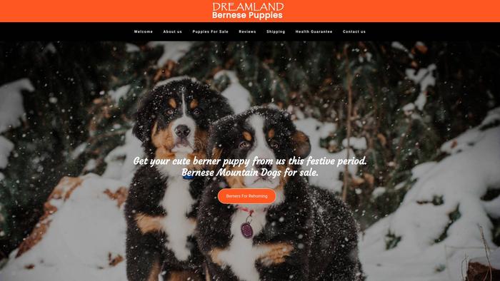 Dreamlandbernesepuppies.com - Bernese Mountain Dog Puppy Scam Review