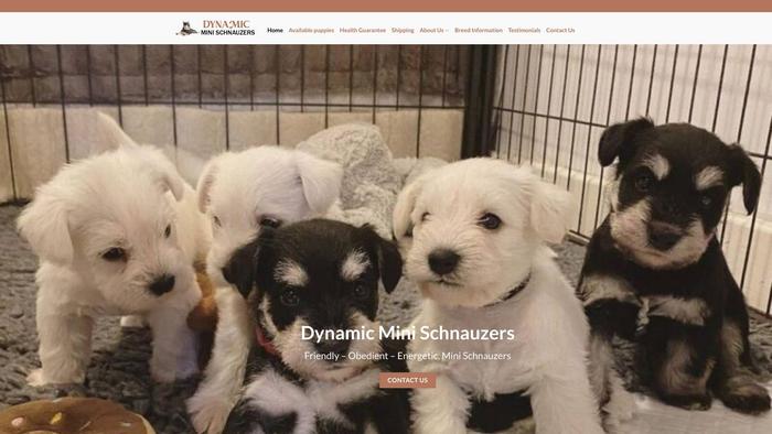 Dynamicminischnauzer.com - Schnauzer Puppy Scam Review