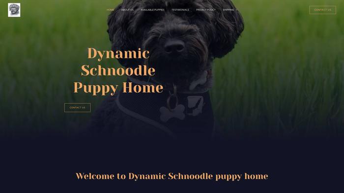 Dynamicschnoodle.com - Labradoodle Puppy Scam Review