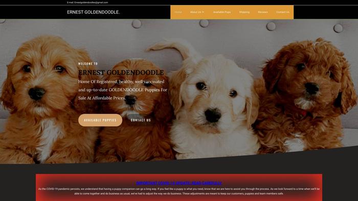 E-goldendoodles.com - Golden Doodle Puppy Scam Review