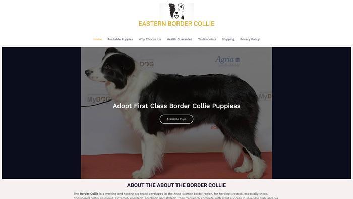 Eastern-bordercollie.com - Bordercollie Puppy Scam Review