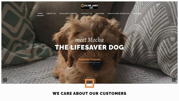 Eklundjameslee.com - Cavapoo Puppy Scam Review