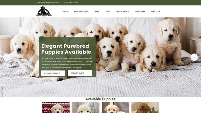 Elegantpuppieshome.com - Golden Retriever Puppy Scam Review