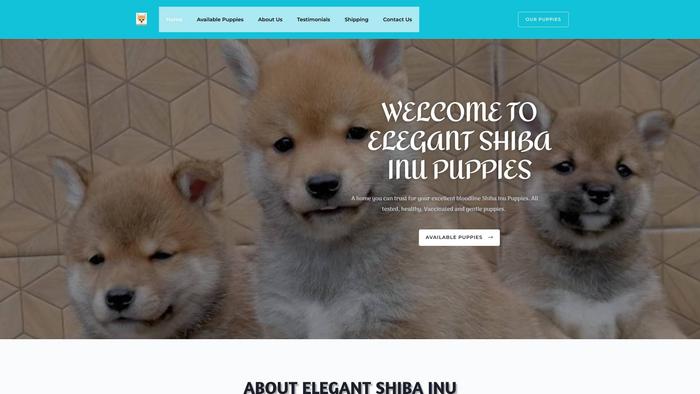 Elegantshibainupuppies.us - Shibhainu Puppy Scam Review