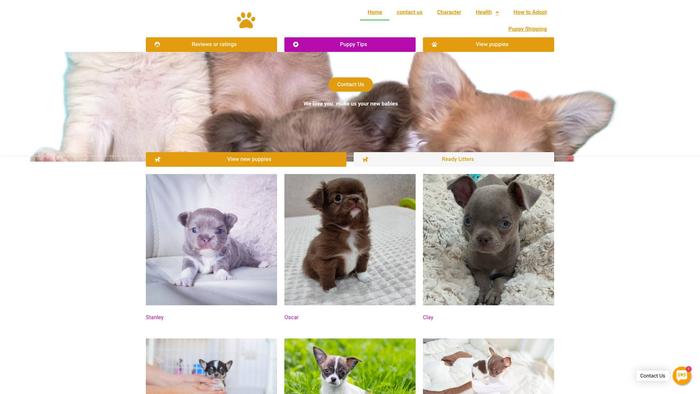 Elitechihuahuas.com - Chihuahua Puppy Scam Review