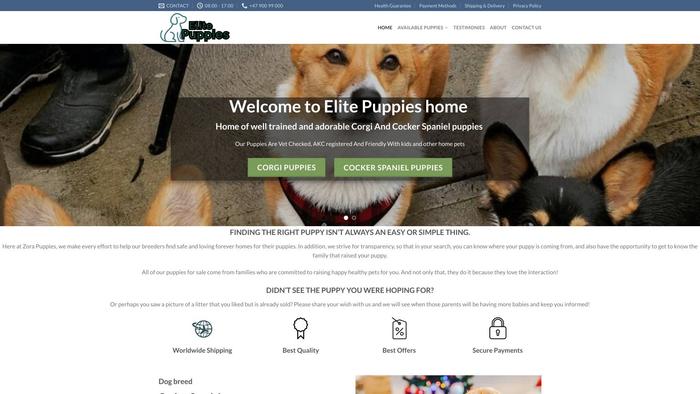 Elitepupp.com - Corgi Puppy Scam Review