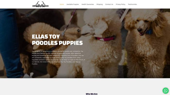 Ellastoypoodlespuppies.com - Poodle Puppy Scam Review