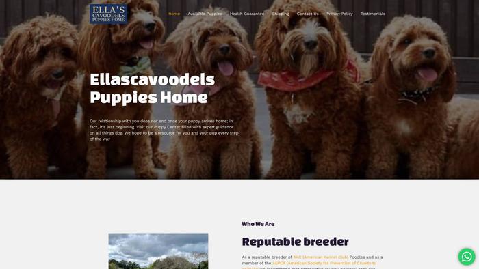 Ellatoycavoodlespuppies.com - Cavapoo Puppy Scam Review