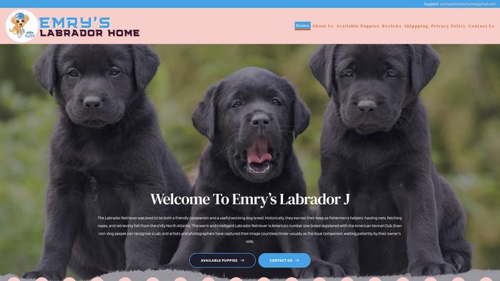 Emryslabradorhome.com - Labrador Puppy Scam Review