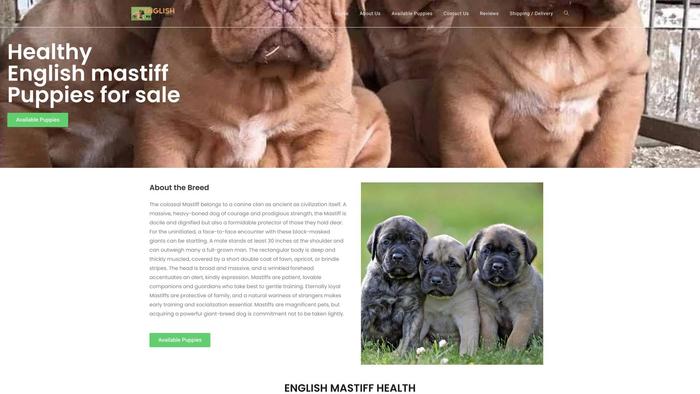 Englishmastiffpuppiesforsale.store - Tibetan Mastiff Puppy Scam Review