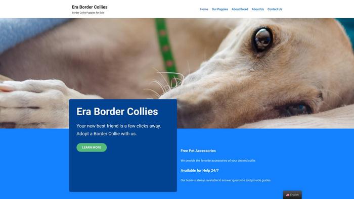 Erabordercollies.com - Bordercollie Puppy Scam Review