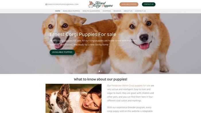 Ernestcorgipuppies.com - Corgi Puppy Scam Review