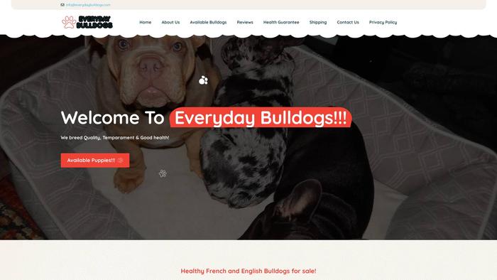 Everydaybulldogs.com - French Bulldog Puppy Scam Review