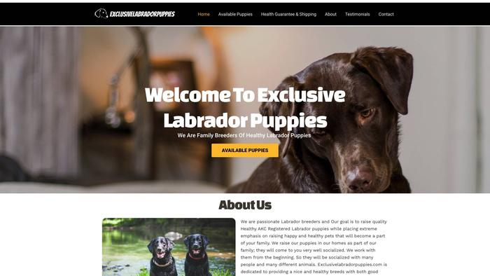 Exclusivelabradorpuppies.com - Beagle Puppy Scam Review