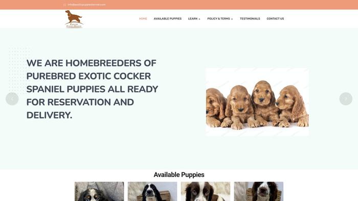 Exoticpuppieskennel.com - Spaniel Puppy Scam Review