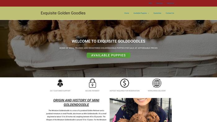 Exquisitegoldendoodles.com - Golden Doodle Puppy Scam Review