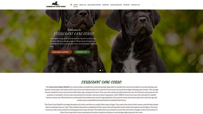 Exuberantcanecorso.com - Cane Corso Puppy Scam Review