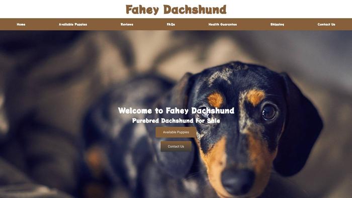 Faheydachshund.com - Dachshund Puppy Scam Review