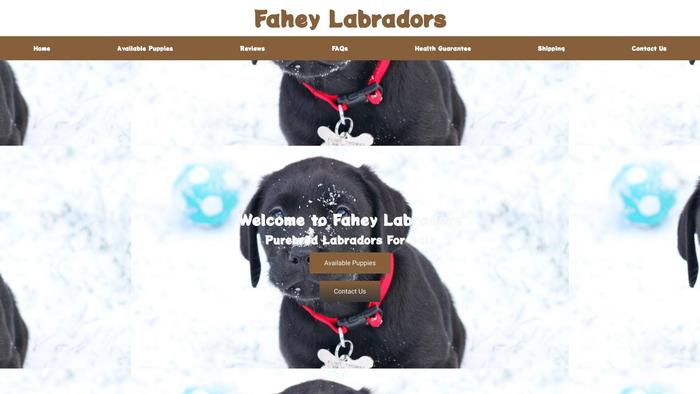 Faheylabrador.com - Labrador Puppy Scam Review